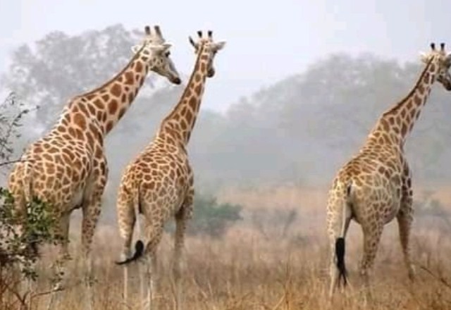 Epreuve histoire 4e 2